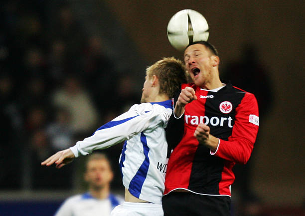 他同时指出 他同时指出